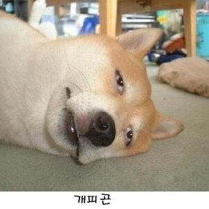 아침에 너무 일찍일어 났더니